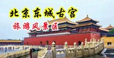 美女被爆操在线网站中国北京-东城古宫旅游风景区