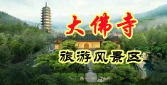 骚网视频中国浙江-新昌大佛寺旅游风景区